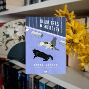 Idealny czas na smuteczek - Nanae Aoyama