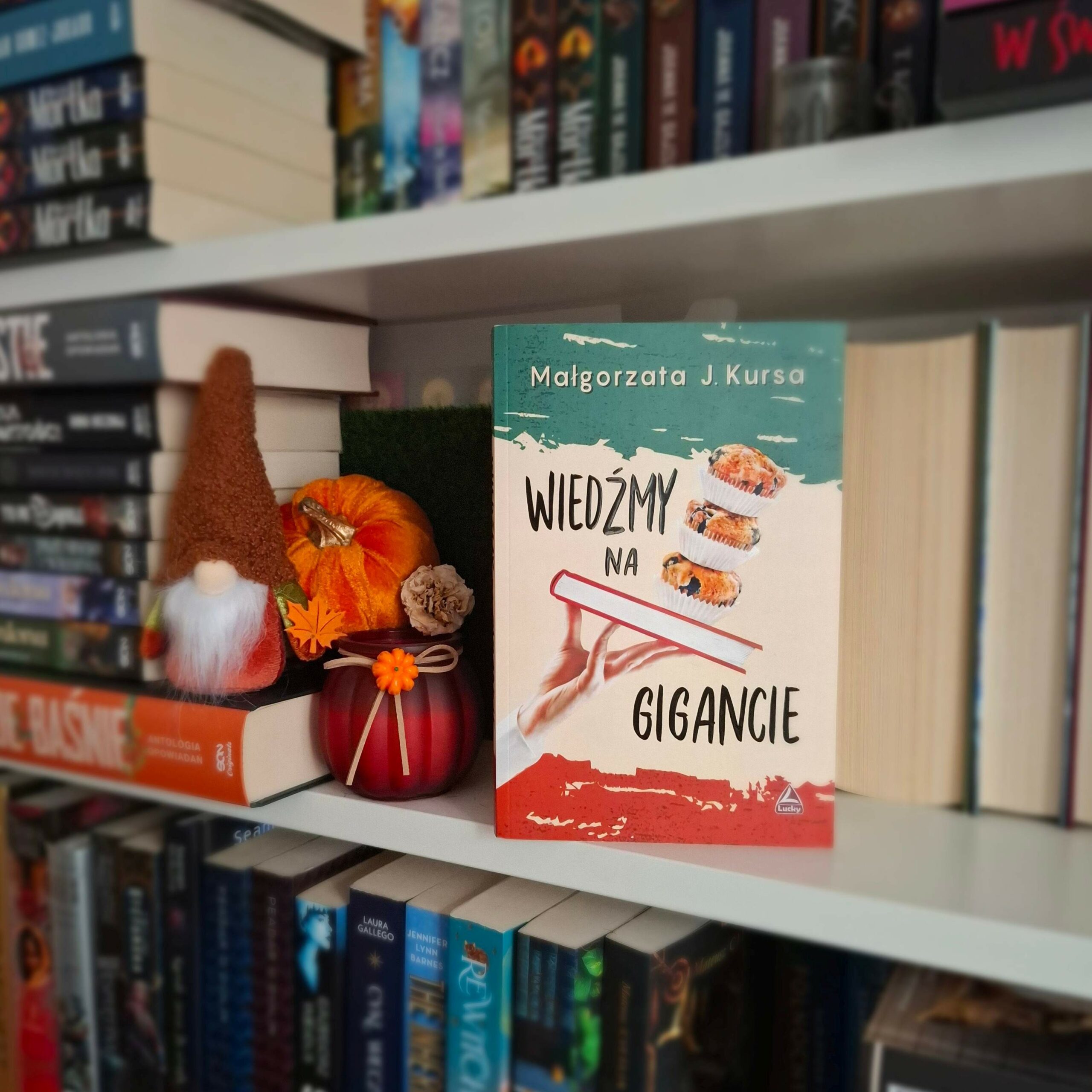 Wiedźmy na gigancie - Małgorzata J. Kursa