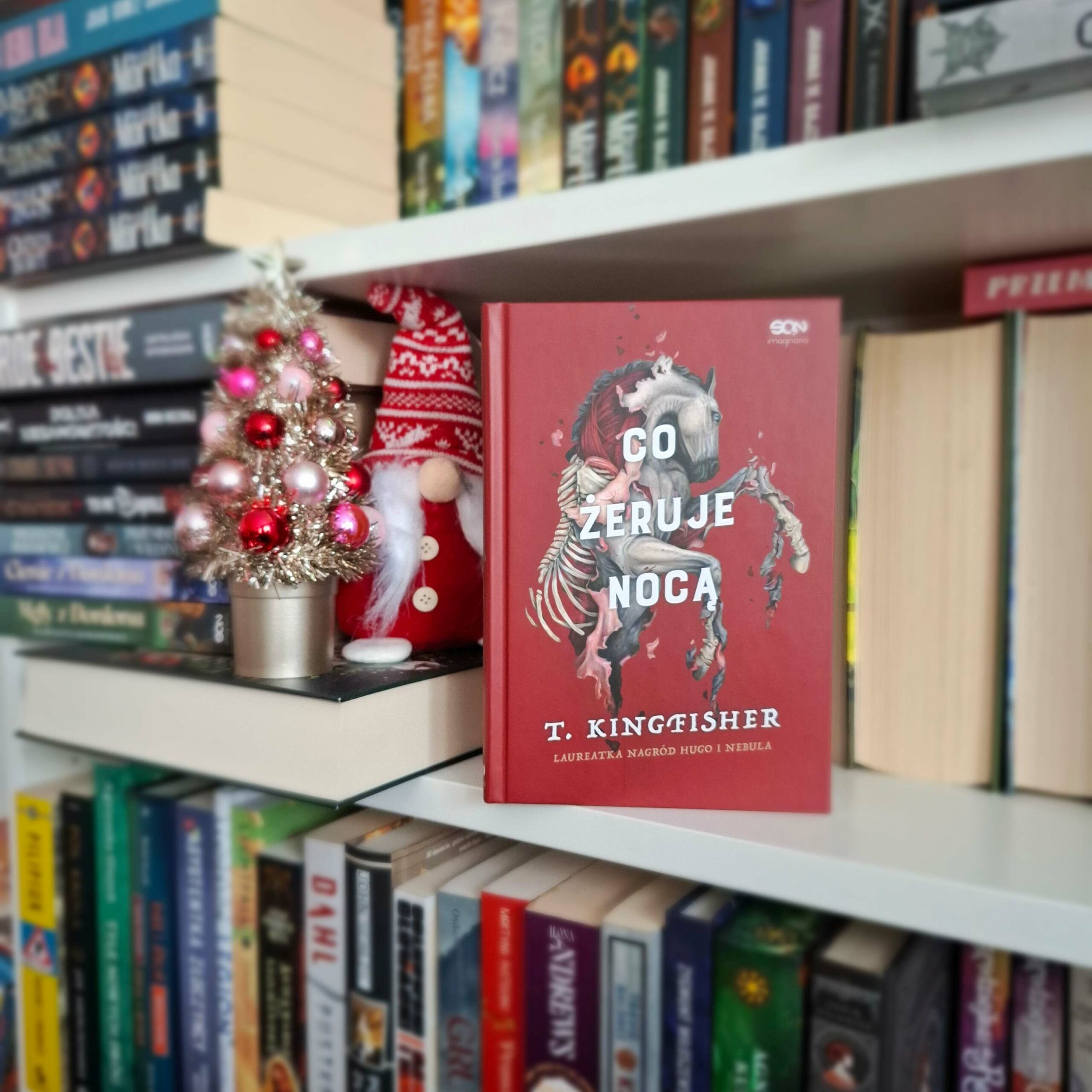 Co żeruje nocą - T. Kingfisher