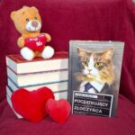 Początkujący złoczyńca - John Scalzi